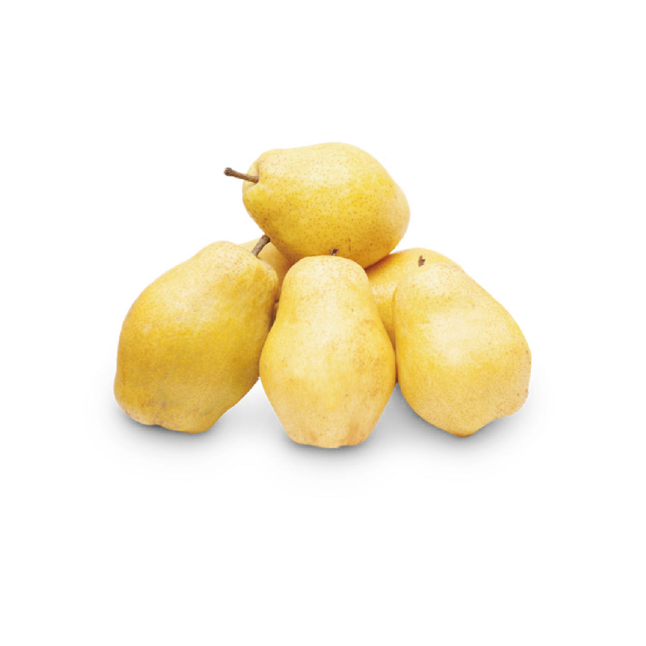 Armut Margarit 1 Kg