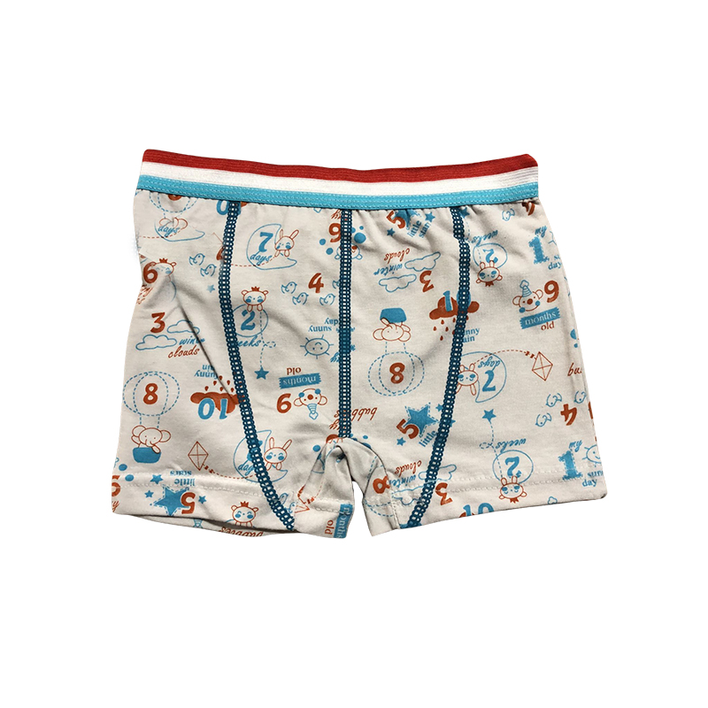 Exen Desenli Erkek Çocuk Boxer Gri 4-5 Yaş