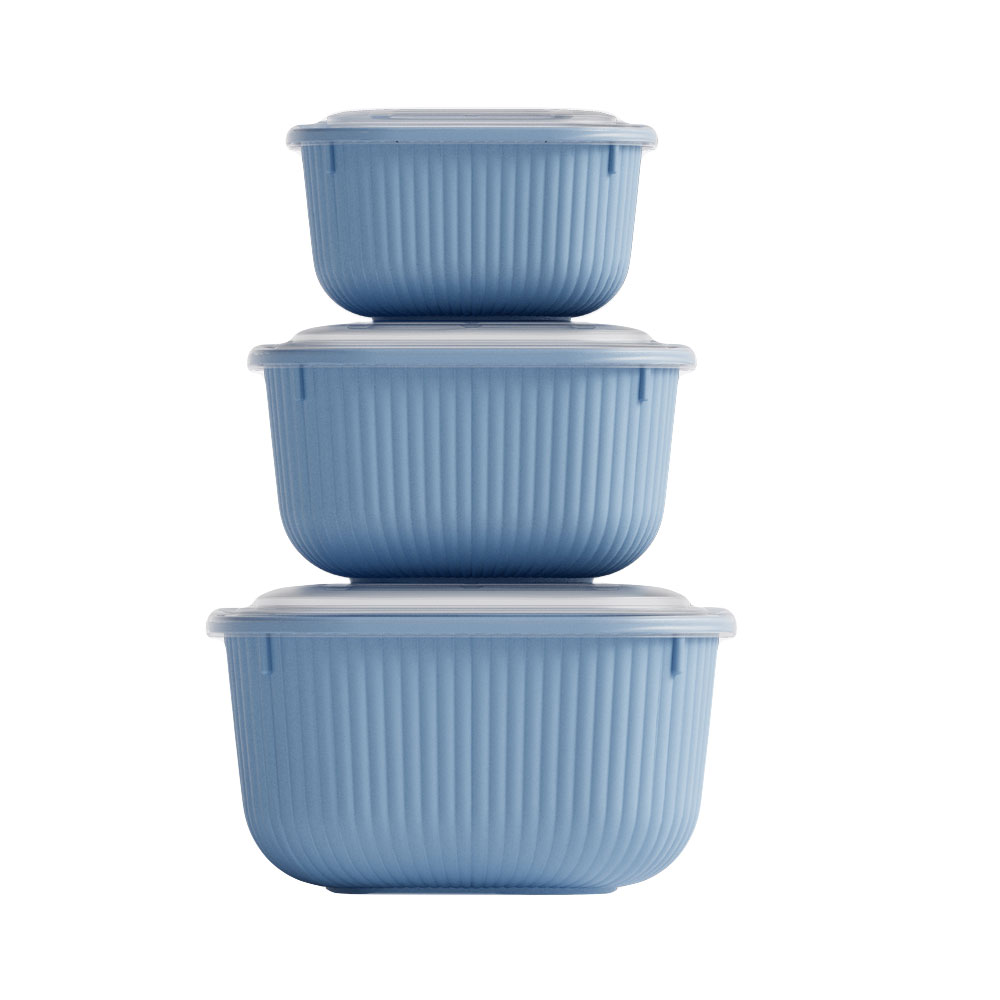 Dünya Plastik Saklama Kabı 3'lü Mavi