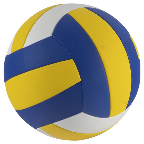 Can Sport Voleybol Topu