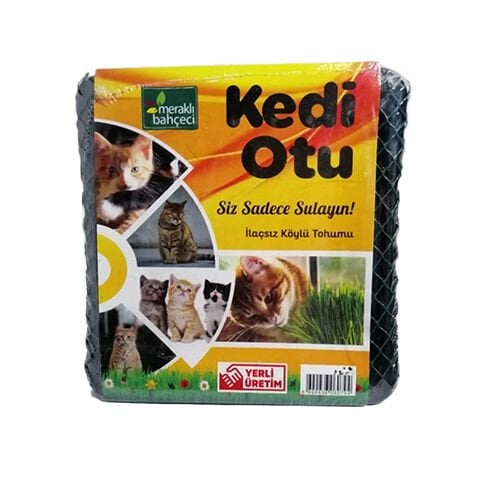 Meraklı Bahçeci Kedi Otu